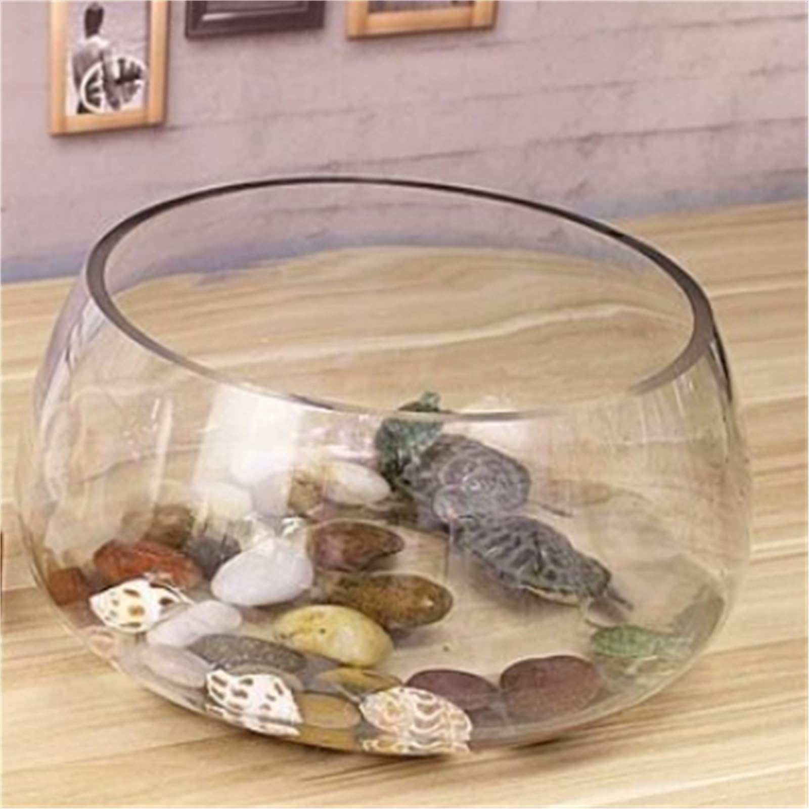 Siedlisko terrarium Szklany, okrągły, przezroczysty, mały słoik z żółwiem na biurko Terrarium akwariowe(Duży)