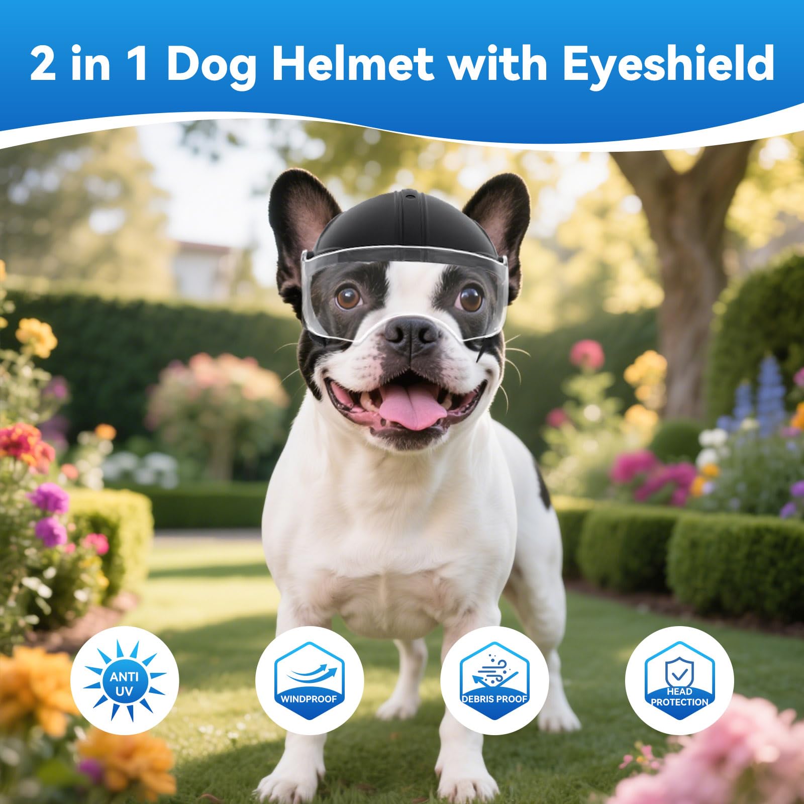 LESYPET Dog Helmet Small Breed, Dog Motorcycle Helmet Drop-Down Clear Visor for Outdoor Motorcycling Windproof Pet Hat with Ear Hole