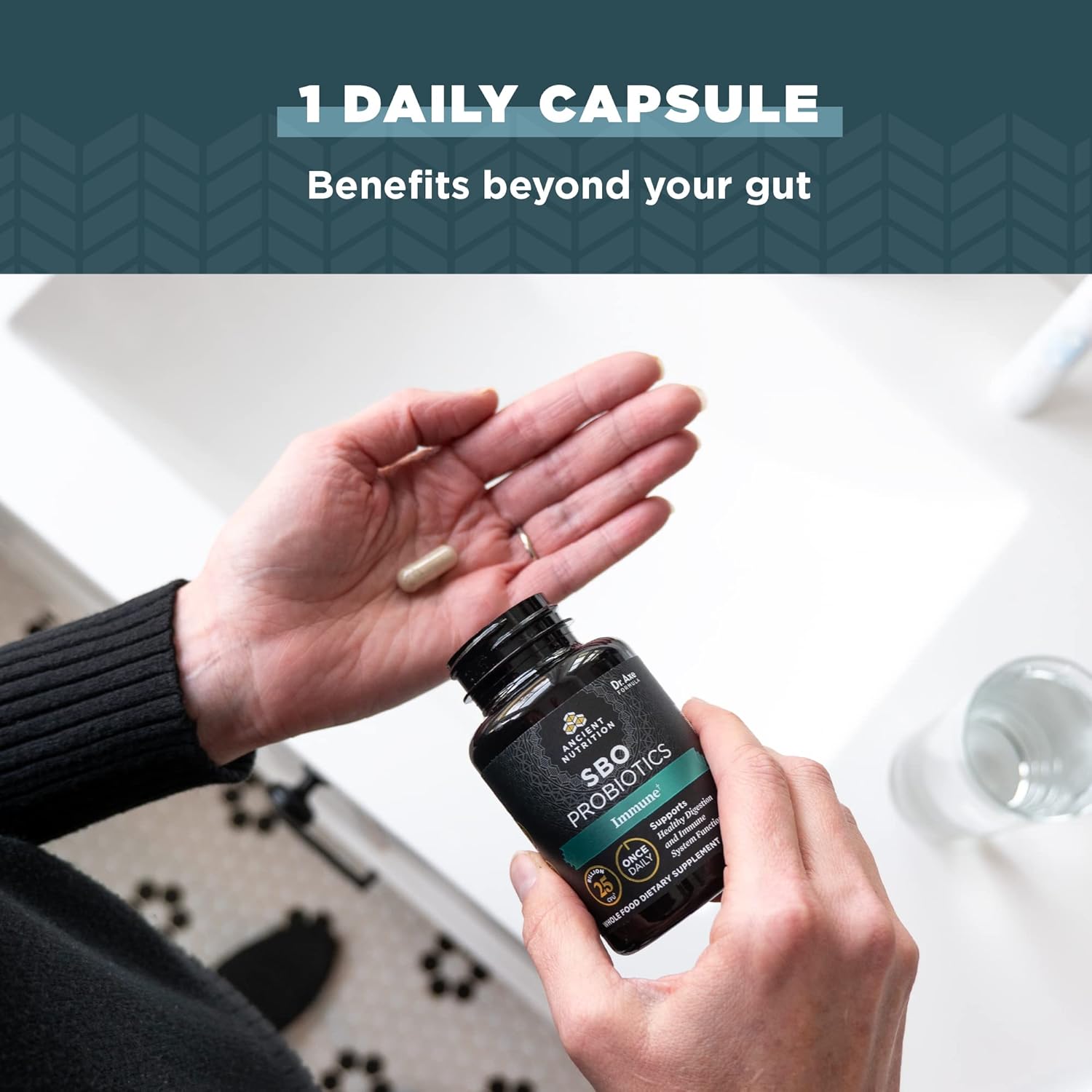 Ancient Nutrition Probiotics for Immune Support, SBO Once Daily Probiotics with Vitamin C and Vitamin D, 30Ct for Healthy Digestion and Immune System Function Support, 25 Billion CFUs*