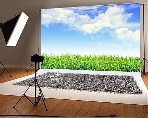 Miniatura 3 de Leyiyi Fondo de fotografía de pastizales de primavera de 8 x 6 pies, planta de jardinería, prado, cielo, nube, punto de luz, pradera del norte,