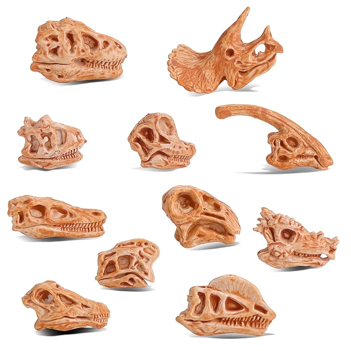 Buy cobee Mini Dinosaur Head Skeleton, 11PCS Dino Bones Playset