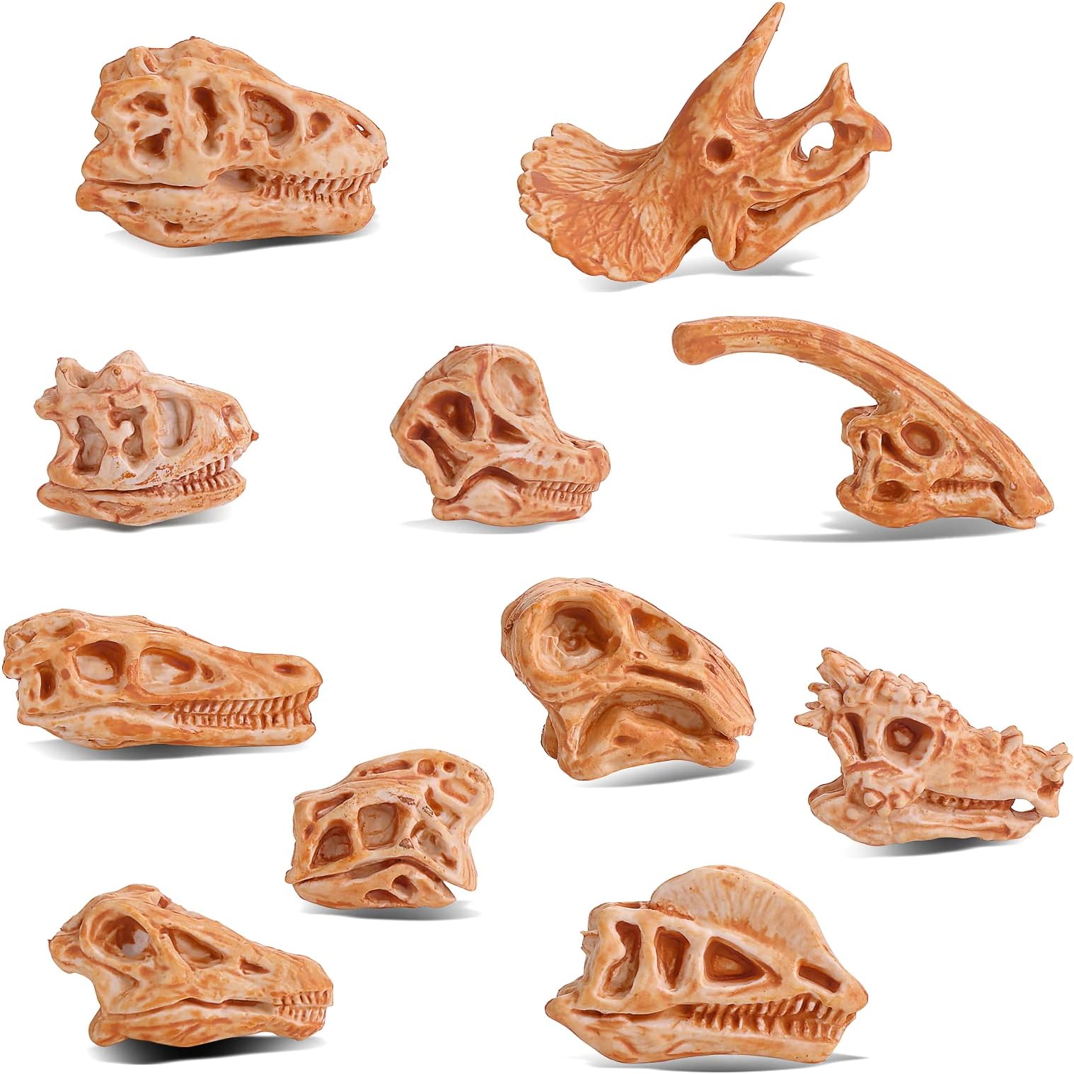Mini Dinosaur Head Skeleton, 11PCS Dino Bones Playset Dinosaur Fossil Figurines for Sandbox Dino Head Figures Dinosaur Skull Model Party Favor Decorations for Kids