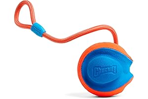 Chuckit! Rope Fetch Dog Toy: The Ultimate Interactive Fetch Toy for Indoor and Outdoor Play
