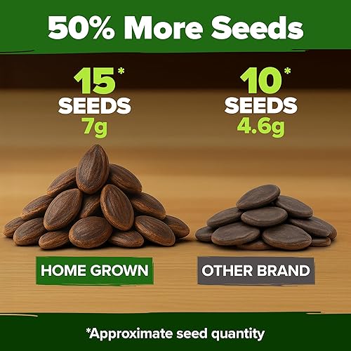 Miniatura 78 de HOME GROWN Paquete de 94 semillas de pimiento de plátano sin OMG, semillas de vegetales tradicionales de alta germinación para plantar en interiores