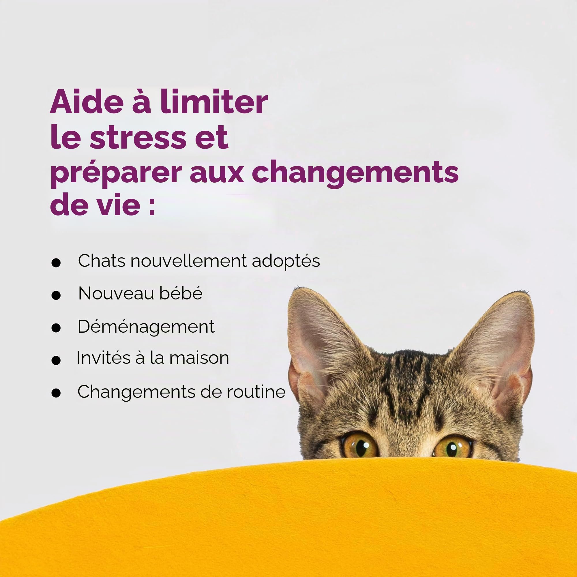 Comfort Zone Lot de 2 recharges pour diffuseur de phéromones apaisantes pour Chat (60 Jours) pour Une Maison Calme | Recommandé par Les vétérinaires | Déstressez Votre Chat et réduisez Les