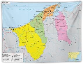 Brunei Map Posters World Map Tapestry Art Painting Decor Wall Print Photo Gifts Home Modern Decorative Tapestries 30"x40"