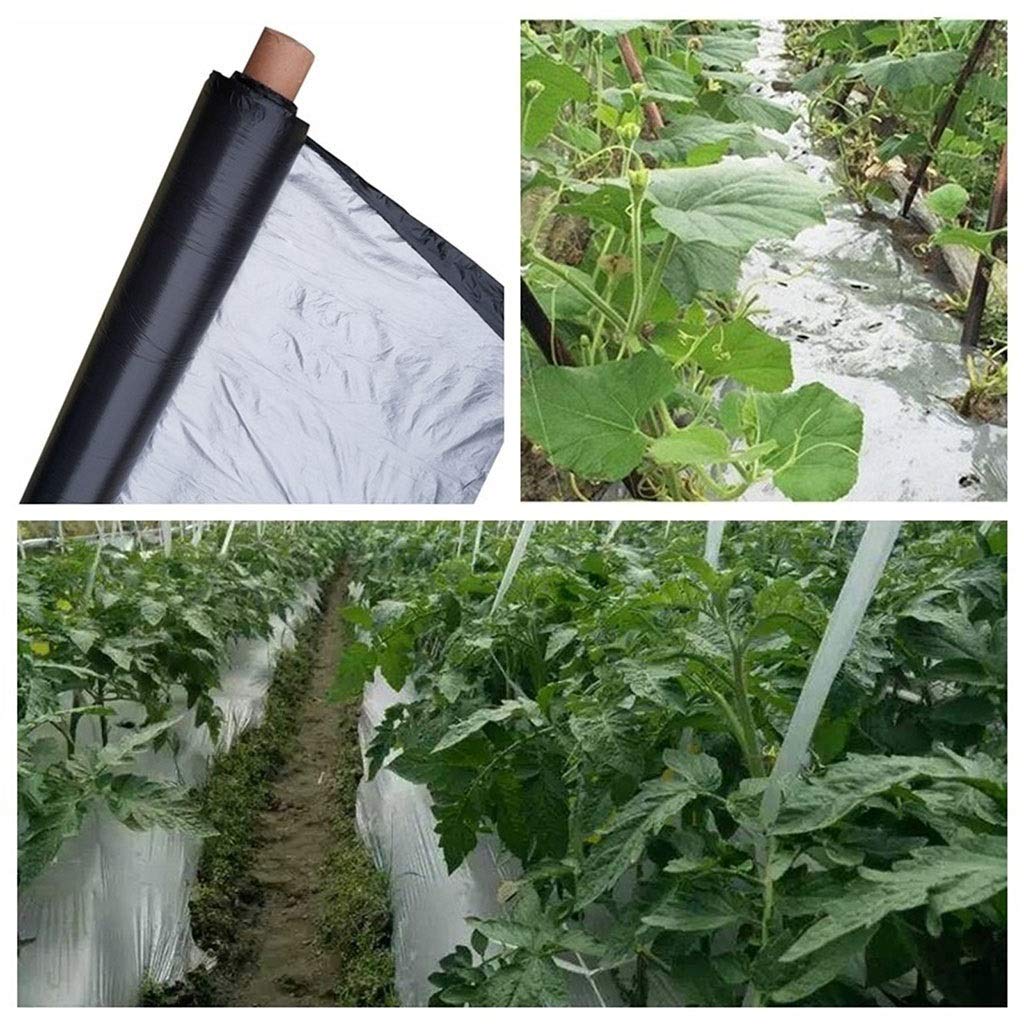Dimo 50m 0.012mm Huerto Árbol frutal Película de plástico plateada y negra, Película de mantillo negra plateada for control de malezas reflectante for invernadero de jardín, 1 pieza(Width 1000mm)