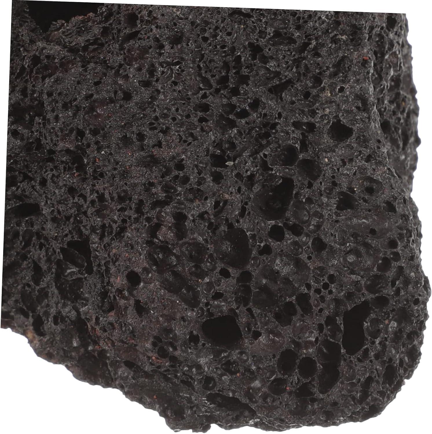 BESPORTBLE 20pcs Volcanic Rock Plant Fixing for Aquatic Plants for Fish Tank Decoration for Healthy Root Growth