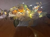 Review Image by DP DP