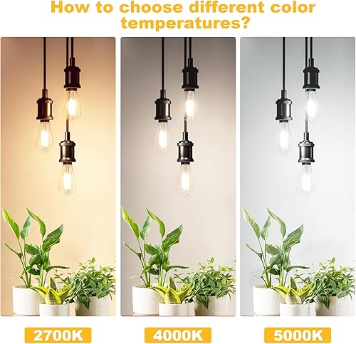 Miniatura 6 de Svater Paquete de 4 bombillas LED Edison vintage equivalentes a 60 W, 6 W ST58 2700 K, bombillas de filamento LED antiguo blanco cálido, base