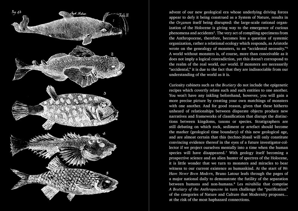 A Bestiary of the Anthropocene: Hybrid plants, animals, minerals, fungi, and other specimens