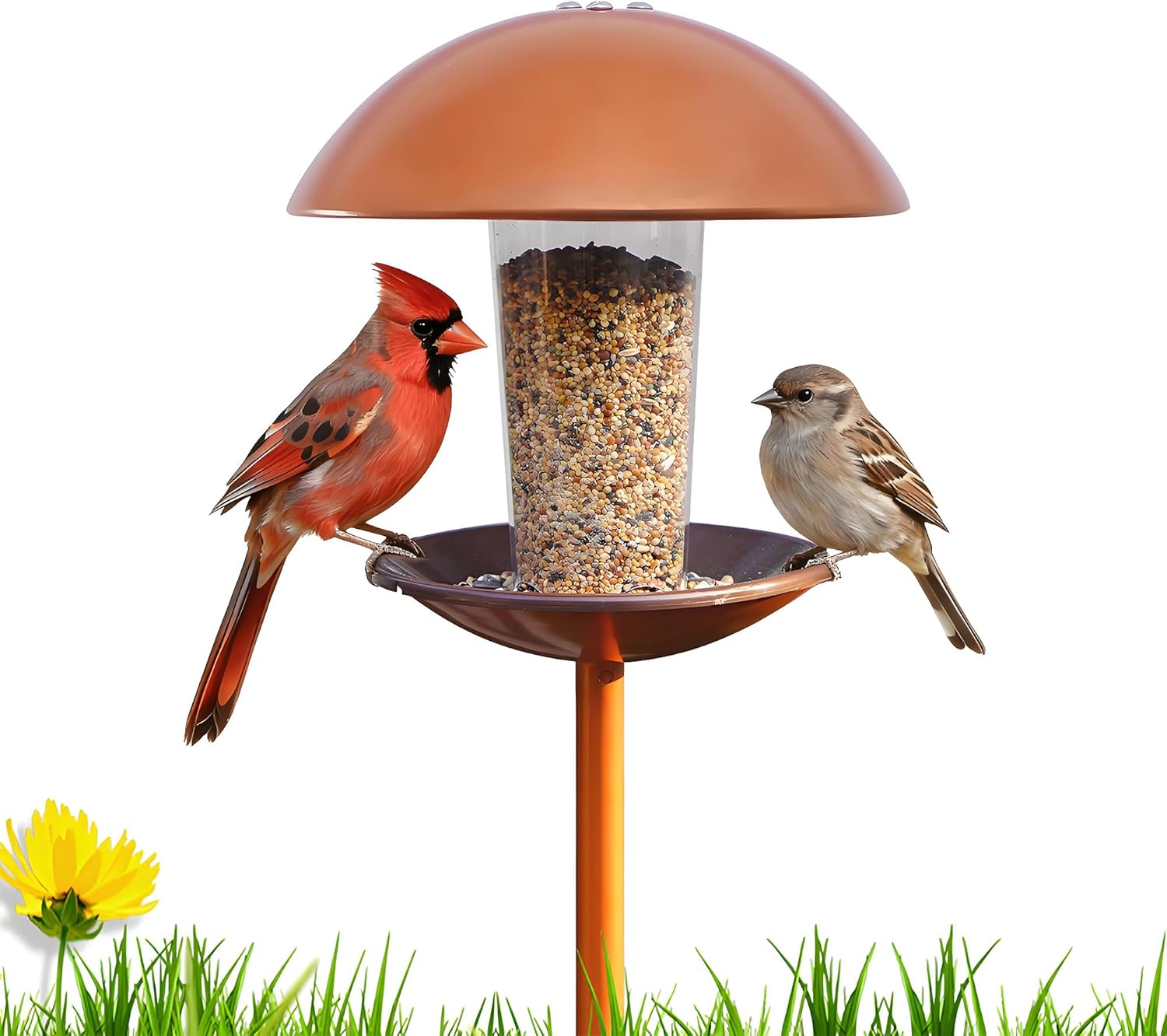 Goodeco Bird Feeder with Pole Standing - Metal Outdoor Bird Feeder for Wild Small Birds, Perfect for Yard Lawn Garden & Patio Decorations, Ideal Gifts for Mom Dad Grandparents (Round)