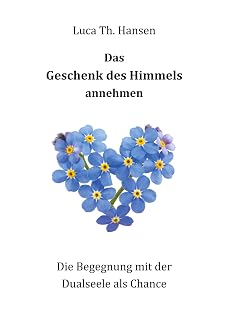 Das Geschenk des Himmels annehmen: Die Begegnung mit der Dualseele als Chance