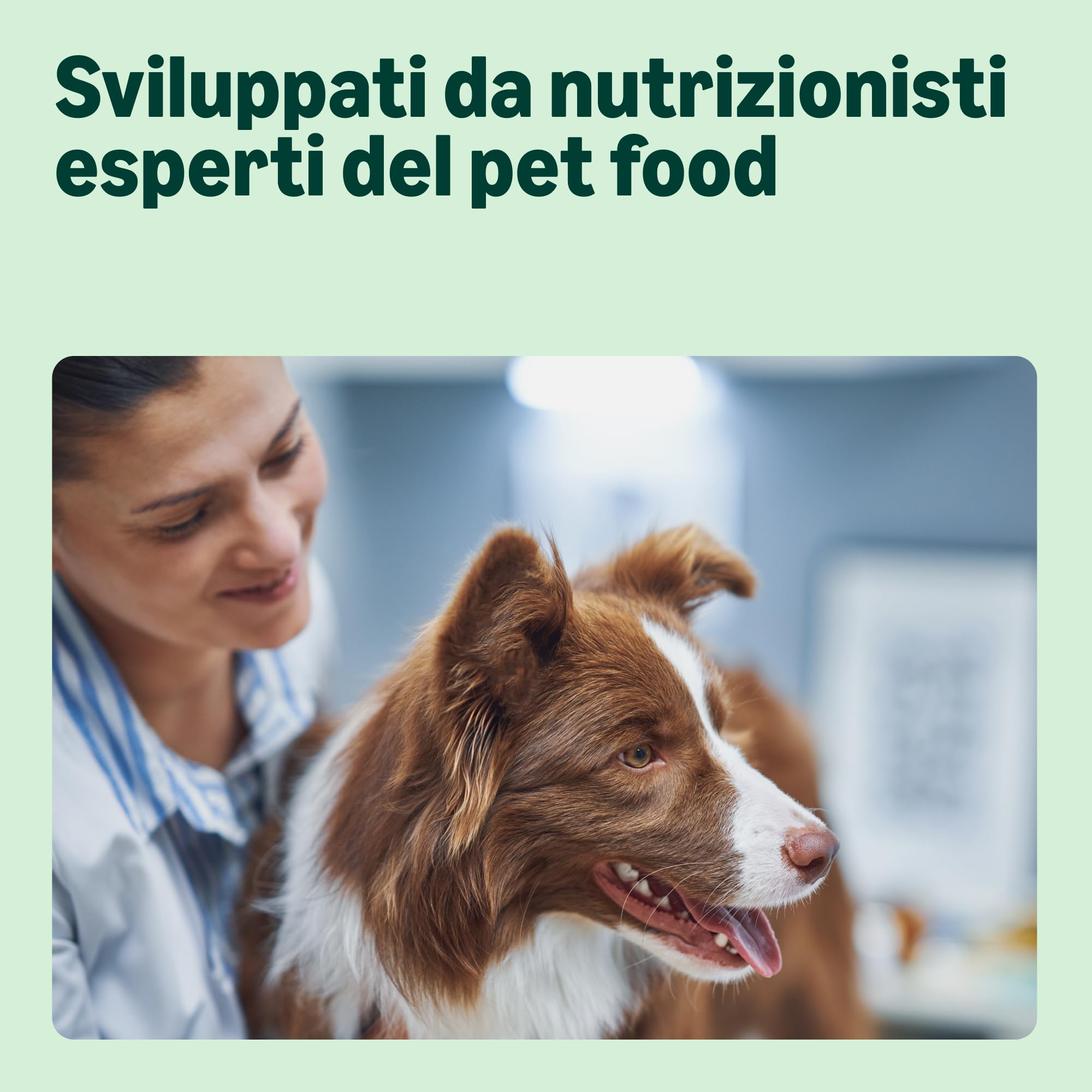 by Amazon Complete Dry Dog Food with Salmon and Rice for Medium and Large Breeds 15kg (Precedentemente un marchio Lifelong, stesso prodotto)