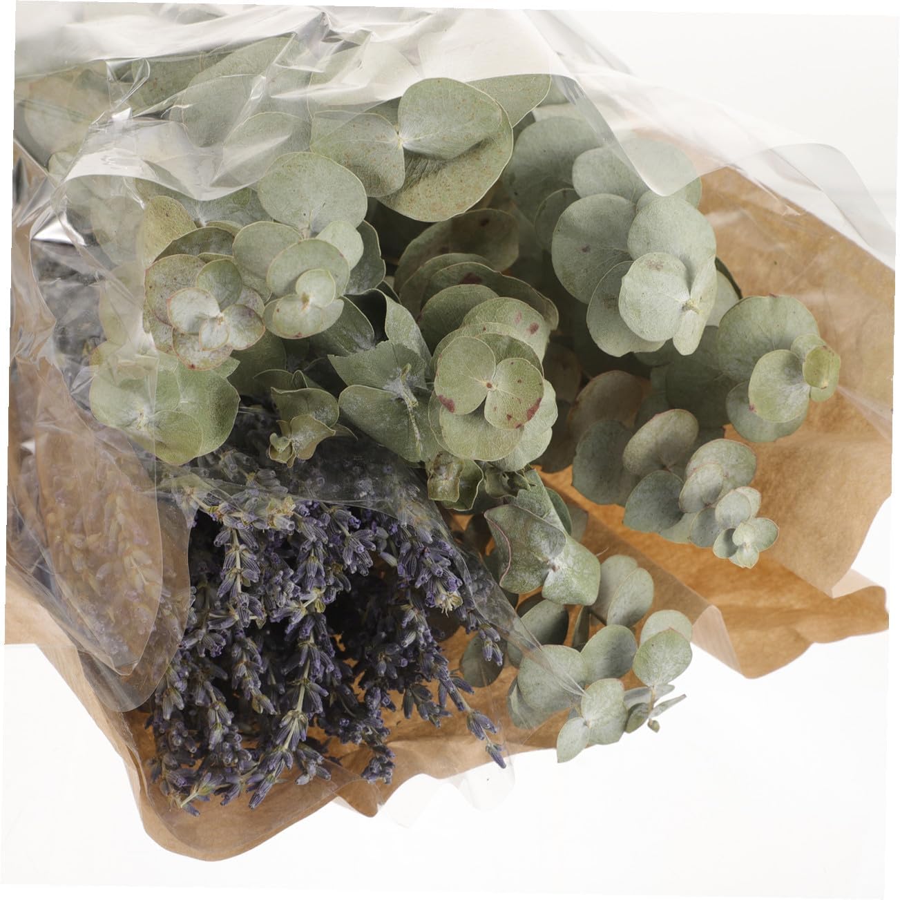 Alipis Dried Lavender and Eucalyptus Stems Bouquet, Natural Preserved Shower Plants Fresh Eucalyptus Leaves and 40g Dried Lavender Bundle for Bathroom Décor and Aromatherapy