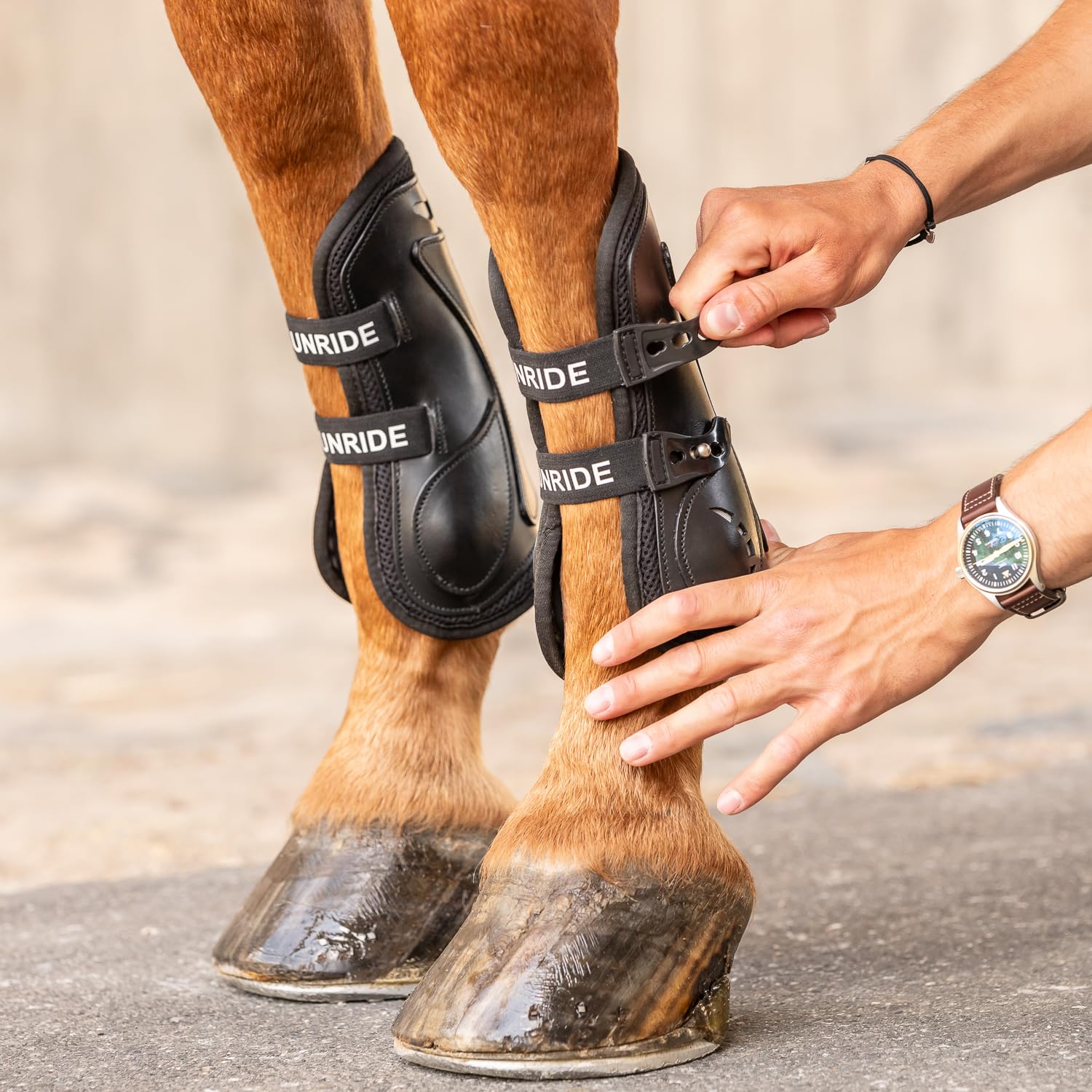 SUNRIDE Botas de Salto (Lote de 2) para Caballos - de Cuero auténtico, Neopreno y una Capa amortiguadora - con ventilación óptima (S, Negro)