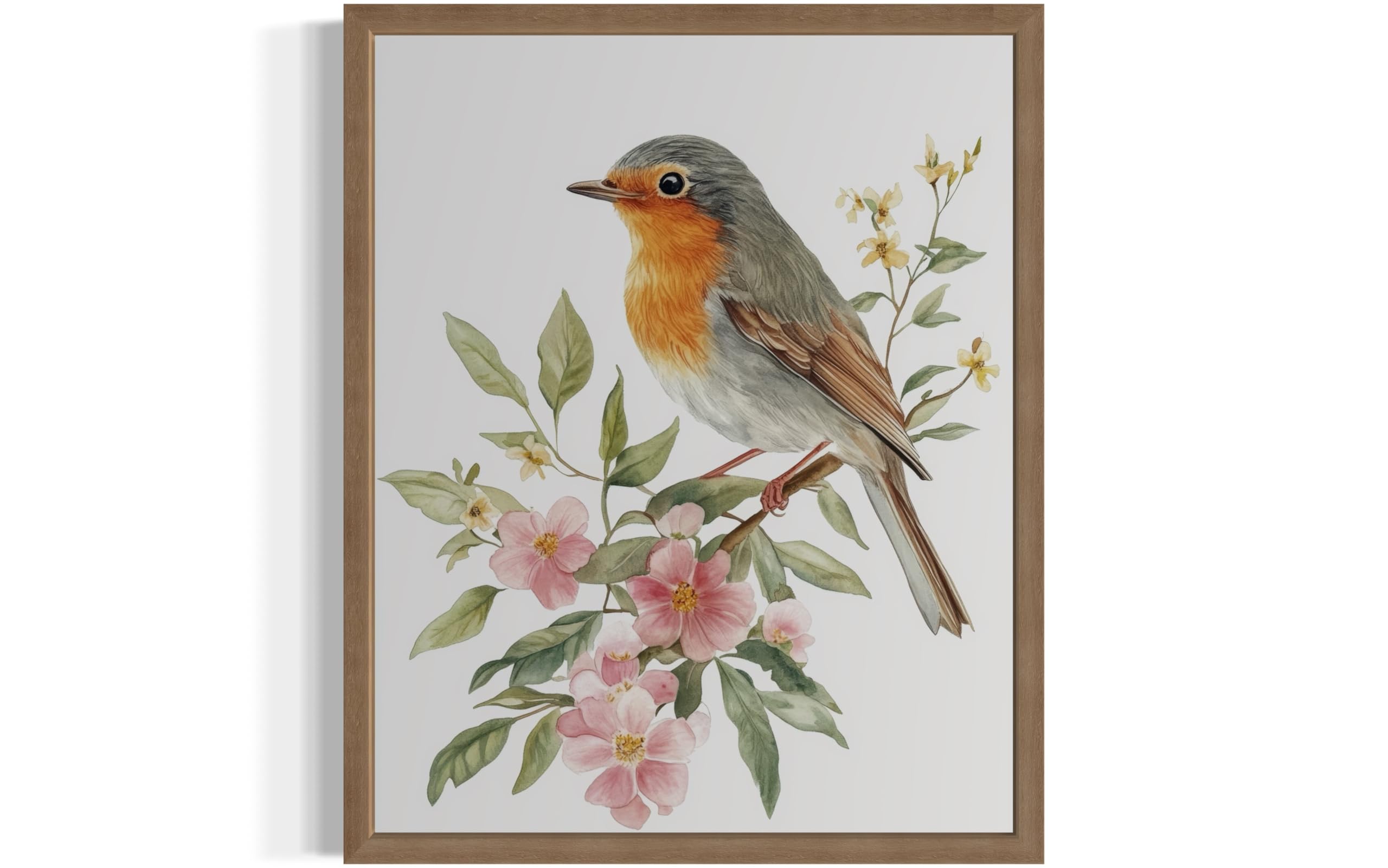 Amazon.com: European Robin Art Print Poster, Bird Nature Floral