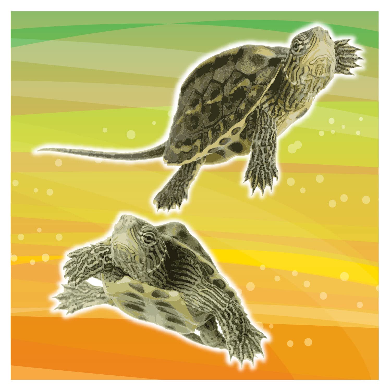 ARQUIVET Gammarus sticks 7.500 ml- Turtle Food Sticks - Natural Food for Aquatic Turtles - Full Food for Water Turtles - 780 gr
