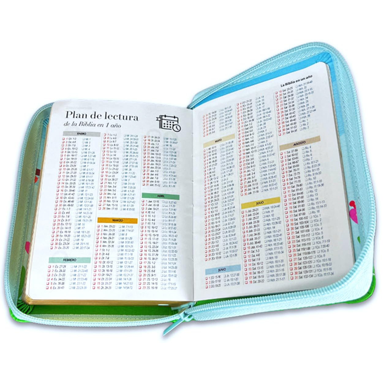 Biblia de Tamaño Bolsillo con Cierre RV1960 celeste floral con ave para mujeres      Imitation Leather – June 12, 2025