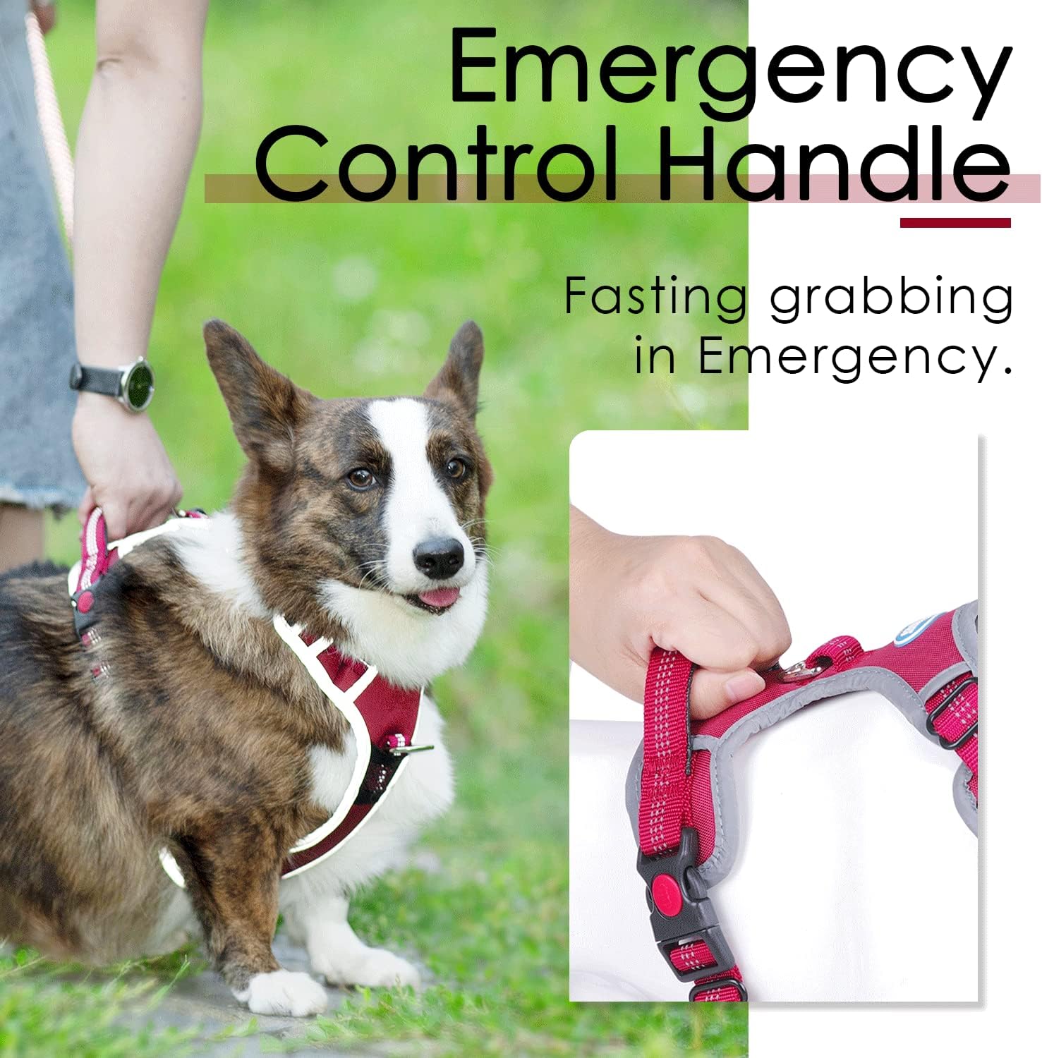 ThinkPet No Pull Harness Breathable Sport Harness - Reflective Padded Dog Safety Vest Adjustable Harness, Back/Front Clip for Easy Control M Red