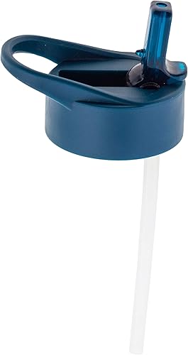 Miniatura 4 de Stephen Joseph Botellas de agua de acero inoxidable, 18 onzas, tapa con popote, vaso reutilizable, aislado, DINO