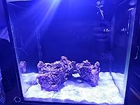 Review Image by Bradley fann Bradley fann