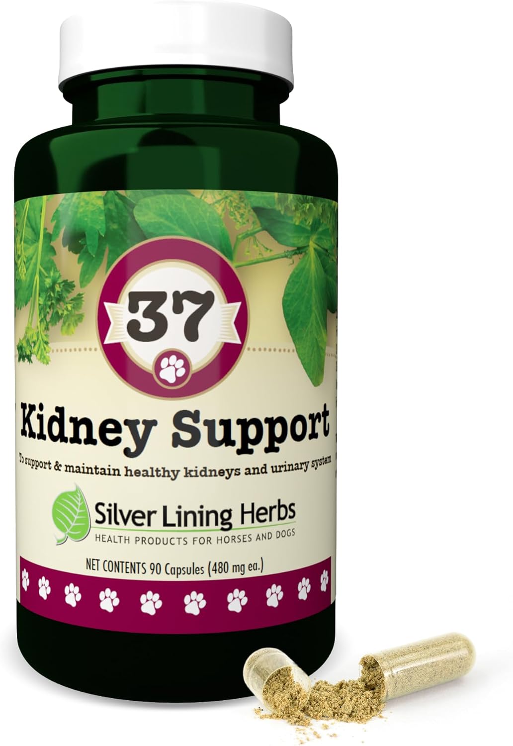 Silver Lining Herbs Kidney Support for Dogs – Natural Herbal Canine Kidney Cleanse & Bladder Support Supplement with Cranberry & Astragalus - Urinary Tract Health & Renal Vitamins – 90 Capsules