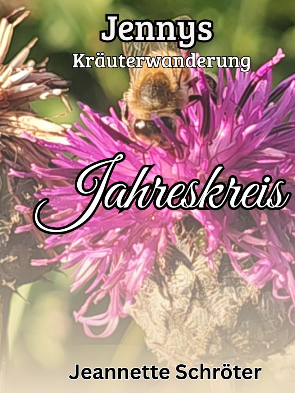 Jennys Kräuterwanderung Jahreskreis: Wilde Kräuter im Saaletal