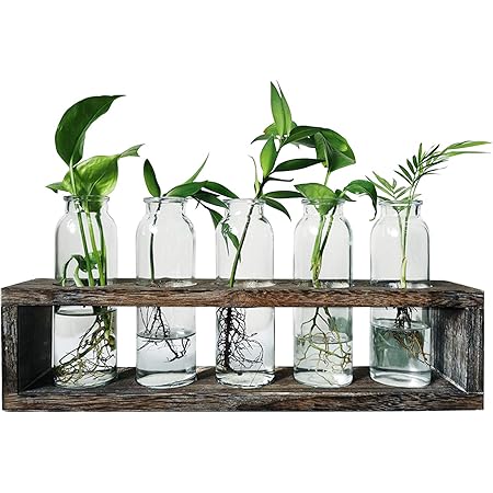 Terrarium Kit Hydroponic Vases Boho Desk Accessories Propagation