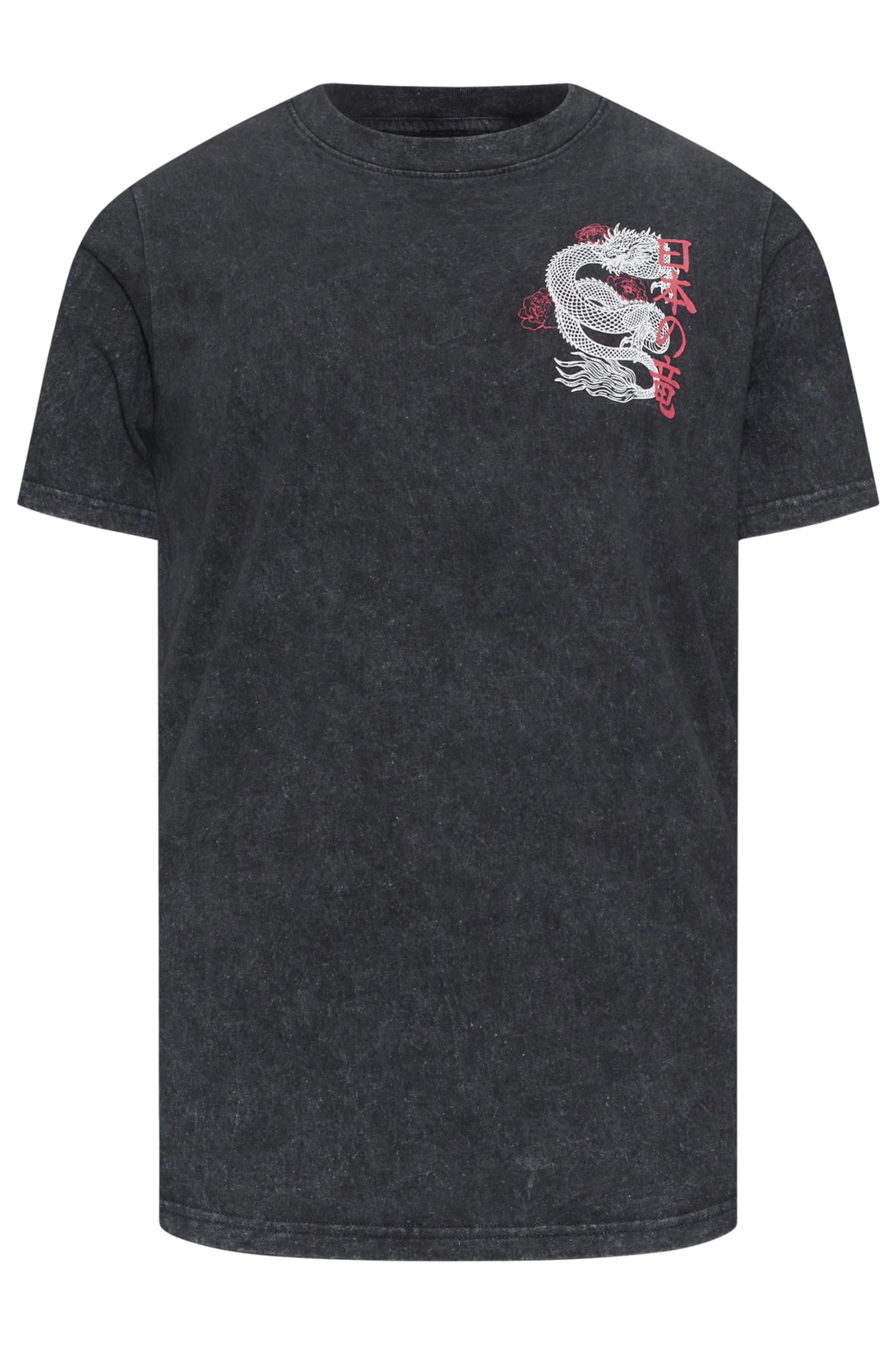 BadRhino Men's T-Shirt - Black - 5-6XL