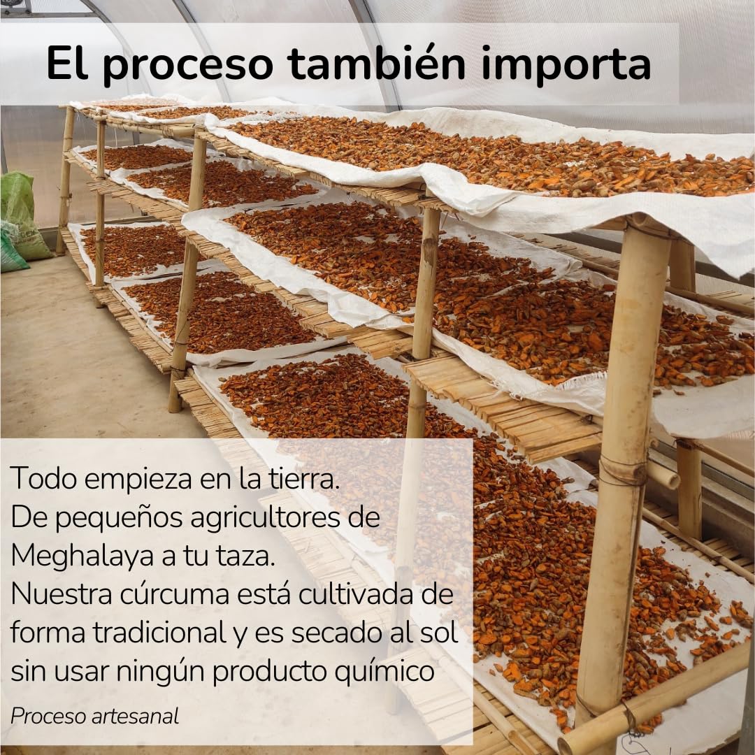 Moon Golden Milk Expert con Stevia 150gr (75 porciones) - Leche dorada en polvo - Mezcla de Curcuma en polvo, Ashwagandha, Jengibre, Stevia y Pimienta negra con alta concentración de curcumina