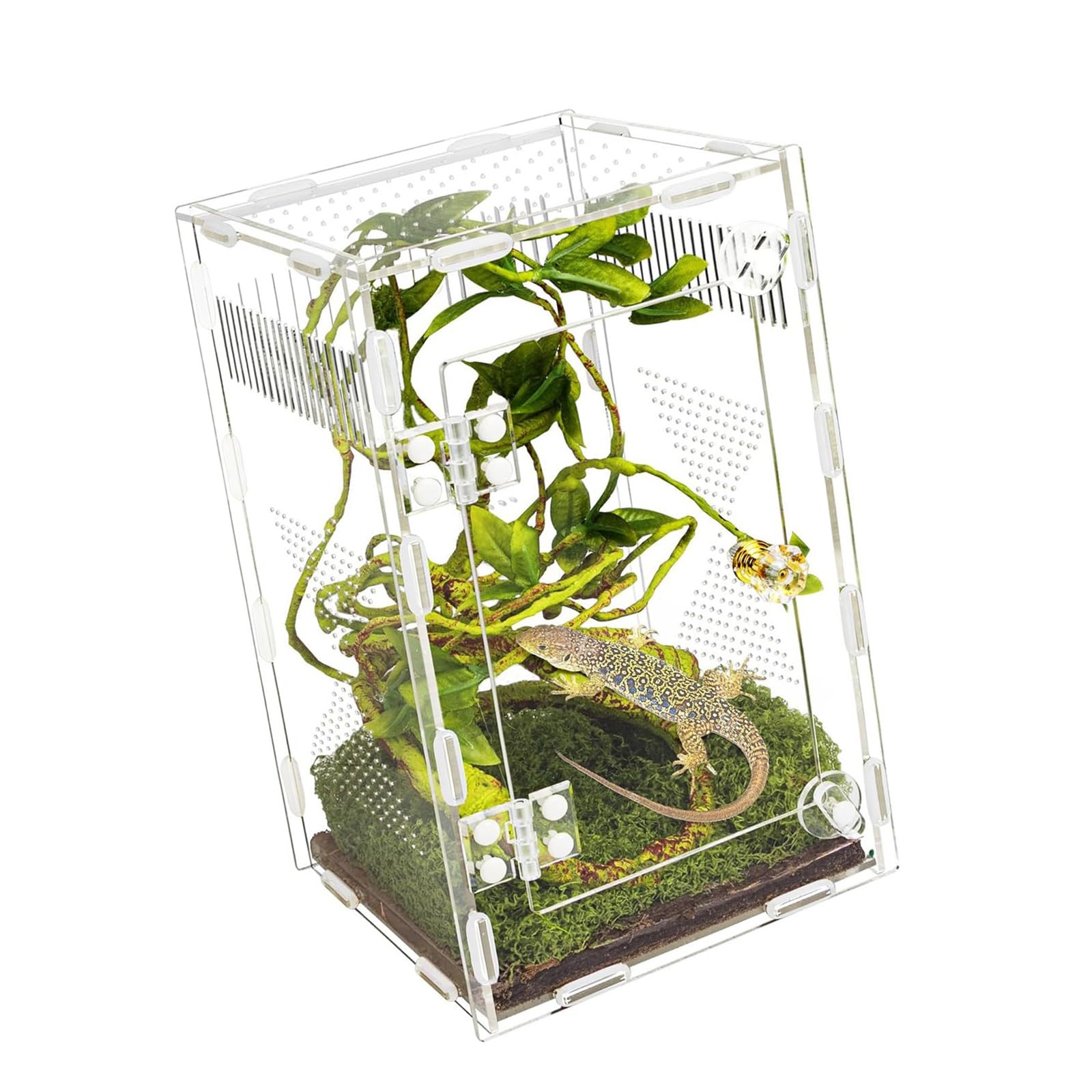 Terrarium transparent pour reptiles pour stopper les risques d'étouffement