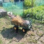 Review Image by KansasSunflower KansasSunflower