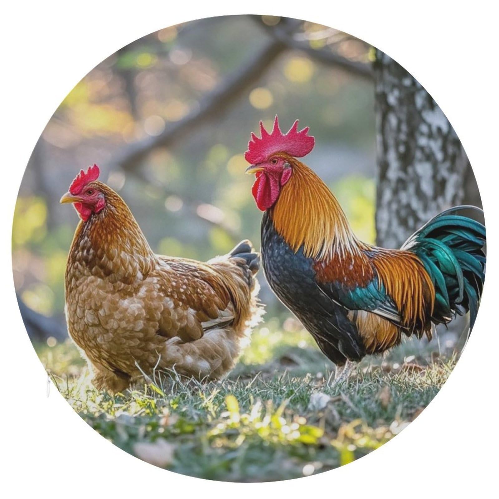 FekiLoot - Chicken Chair Cushion Round Memory Foam Rooster Chair Cushion with Removable Cover for Bedroom Sofa Kitchen Office 15.3 x 15.3 Inch