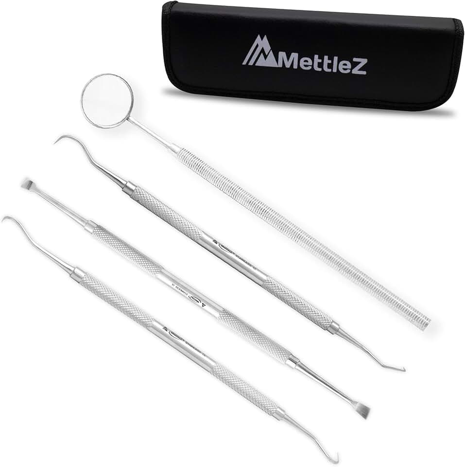 Amazon.ca dental pick