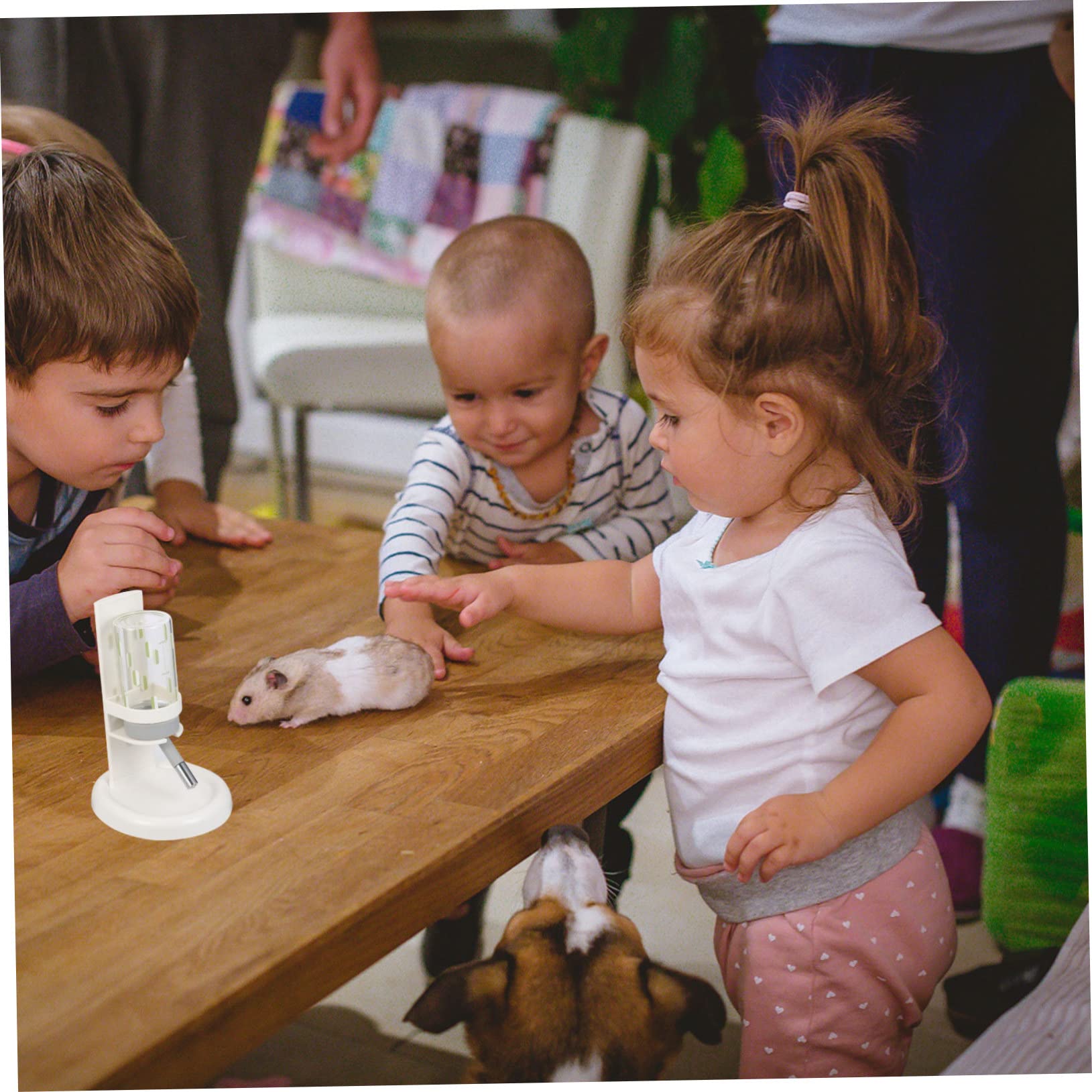 WOONEKY Praktischer Hamster Wasserspender aus Abs und Glas Auslaufsichere Wasserflasche für Kleine Haustiere im Haushalt mit Bequemer Trinkfunktion und Halter