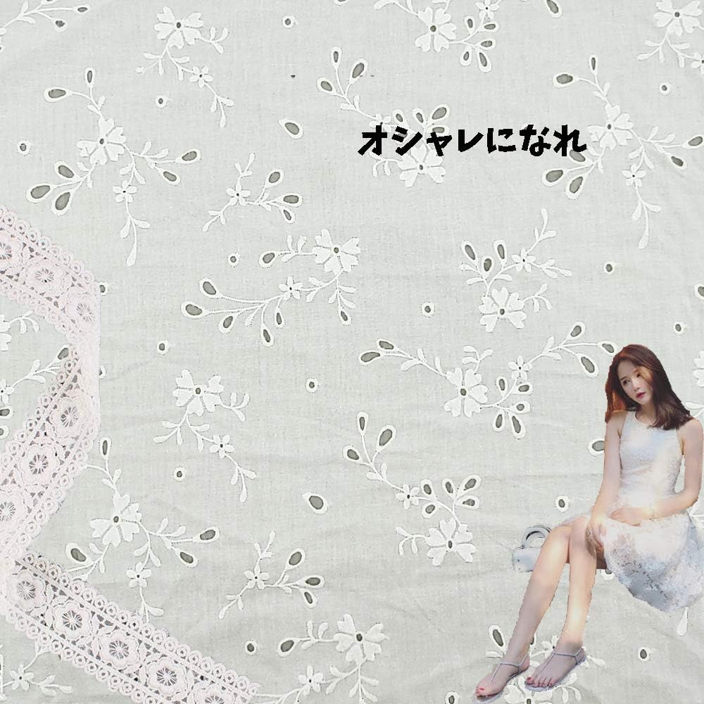 Aicvhin 生地 布 綿100 白い綿布生地 刺繍透かしレース 衣装 ドレス ワンピース カーテン 大人用 子ども用 裁縫 ハンドメイド 1m綿平織りストライプ花の穴刺繍レースの生地 スタイルg 100 130cm Faz Co Zm