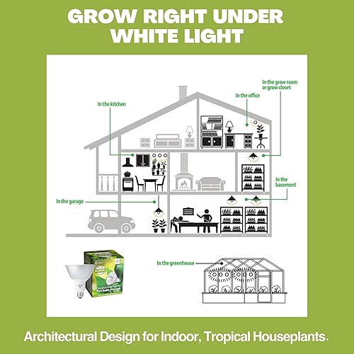 Miniatura 5 de Norb BOTANIC - Luz LED de cultivo de alta calidad, bombilla PAR38 de espectro completo, 1350 lúmenes, eficiencia energética, espectro solar que