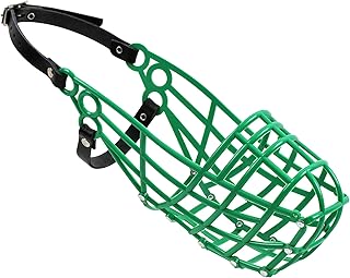 AMATHINGS Greyhound Racing Estuary with Free Running Greyhounds and Large Breeds with Long Slim Snout Shapes (Green)