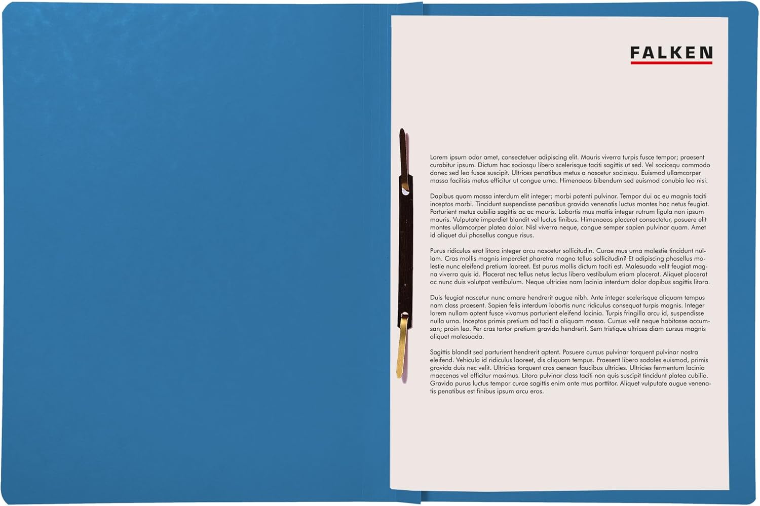 Exacompta - Ref 80000201003F - FALKEN - Flat Cardboard Files - A4 (210 x 297mm) in Size, 250gsm Recycled Manilla, Pre-Printed Cover, Blue Angel Certified - Blue (Pack of 100)