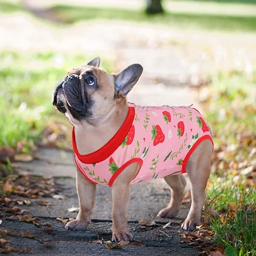 Miniatura 8 de SAWMONG Paquete de 2 trajes de recuperación para perros después de la cirugía, traje de recuperación de perros de poliéster suave, traje quirúrgico