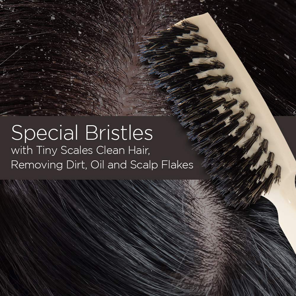 Fuller Brush Błyszcząca profesjonalna szczotka do włosów – wysokiej jakości 6-rzędowa szczotka do stylizacji włosów i Volumizer z naturalnym włosiem dzika do wygładzania prostych, krótkich lub cienkich włosów