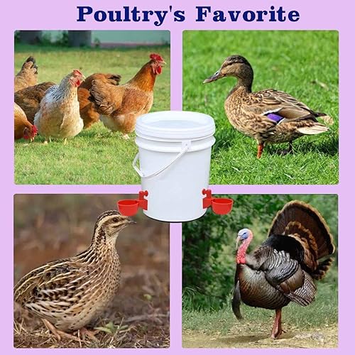 Miniatura 5 de 12 bebederos de pollo, tazas de agua de pollo, comedero de pollo, bebedero automático para pollos sin residuos, tazas de riego para aves de corral,