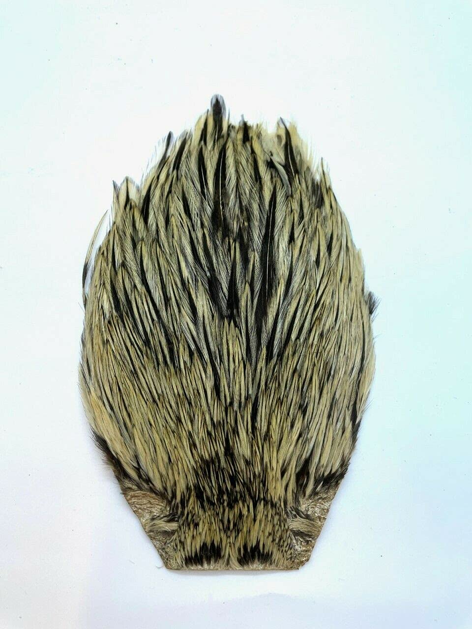 Olax COCK CAPES IN NATURAL COLOURS, FLY FISHING, FLY TYING, ARTS & CRAFT (Badger)