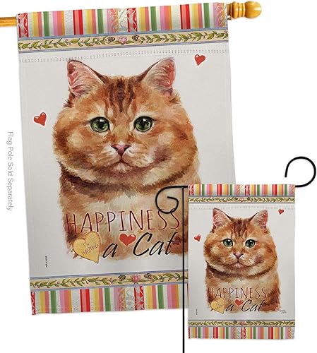 Breeze Decor Juego de banderas de calicó para casa de jardín, diseño de gato y gatito maullido, piel de pata estropeada, mascota, naturaleza,