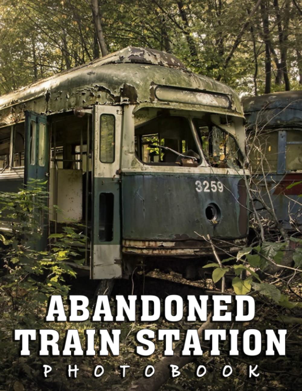 Picture Of Abandoned Train Station: A Great Gift With Compelling And Impressive Pictures Of Abandoned Train Station To Relax And Relieve Stress For All Ages & Genders On Christmas, Birthday