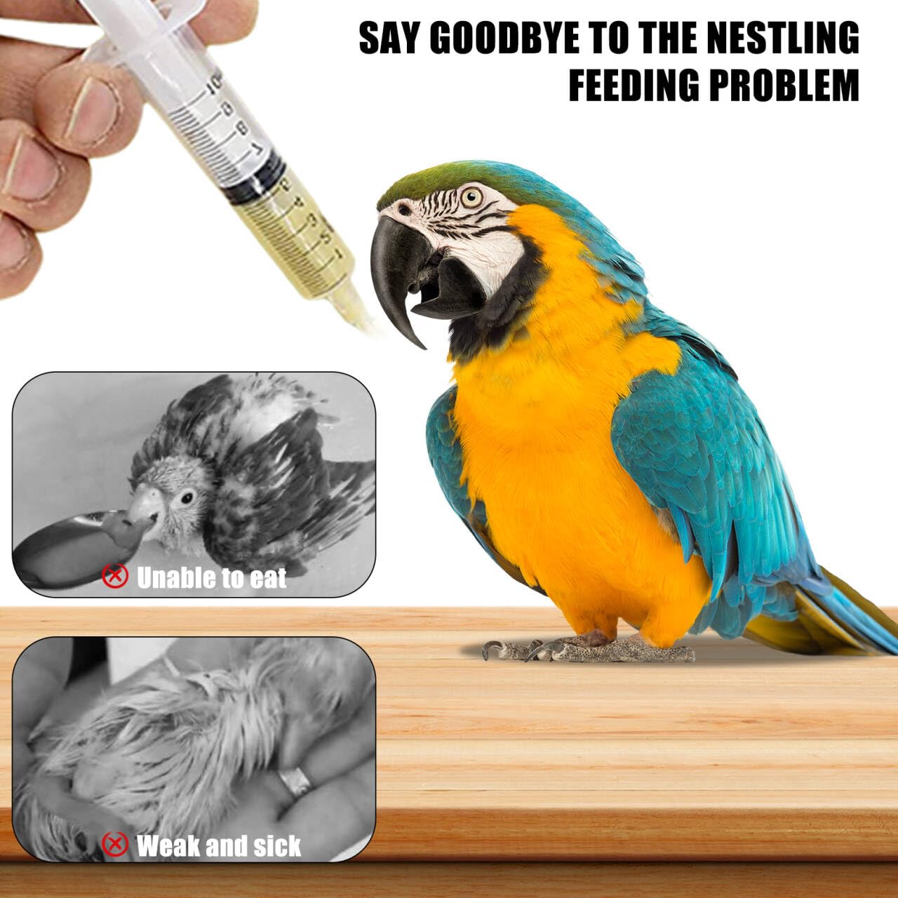 Lot de 12 Sondes d'alimentation pour Oisillons 10 ML,Seringues avec Tuyau,Canule Bouton,Seringue pour Nourrir Les Oiseaux,Le Lait, l'eau,Les Médicaments,Les Animaux Domestiques,Facile à Nettoyer