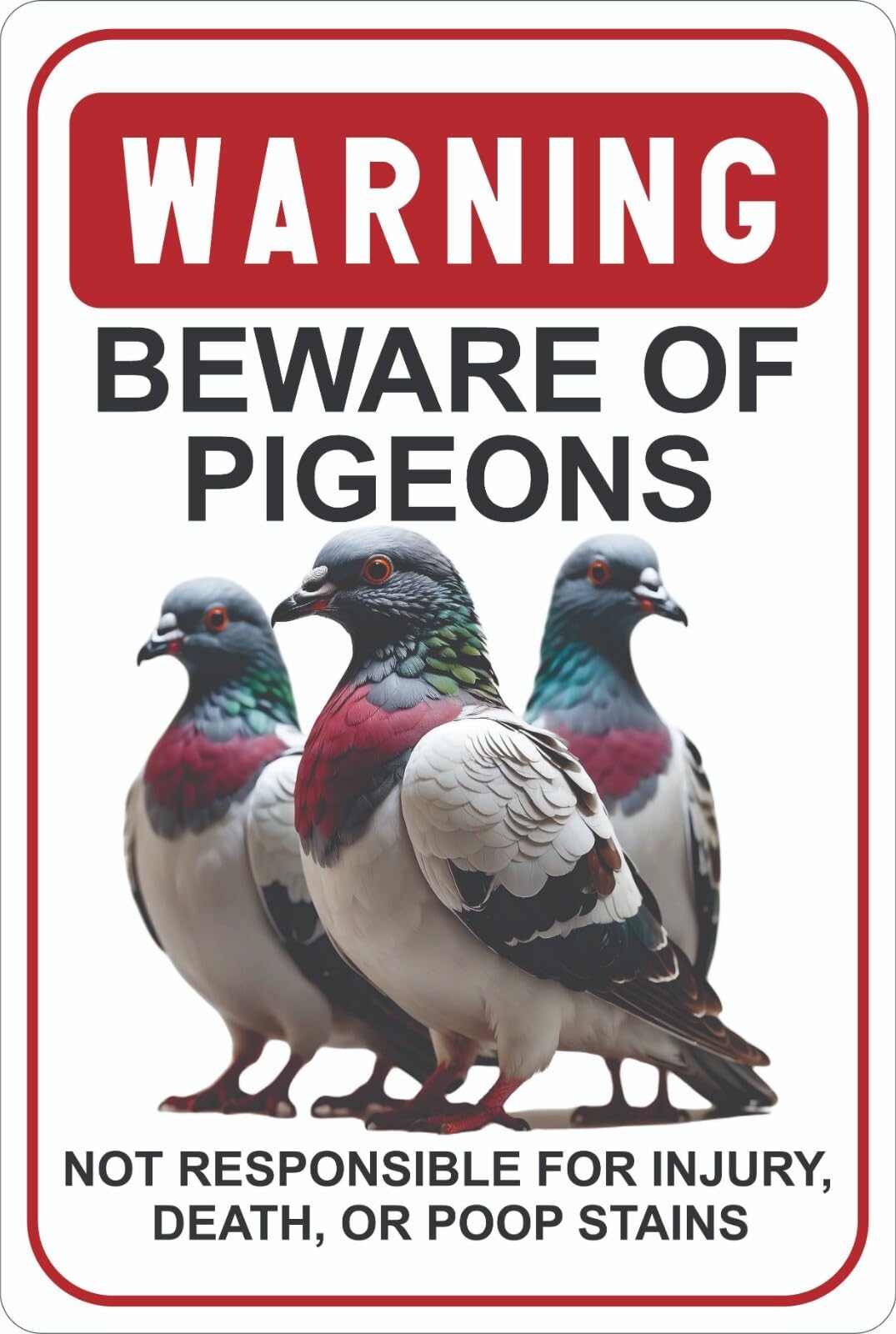 Ingzzaac Metalpostera157957 Beware Of Pigeons Warning Sign, 8X12 Novelty Outdoor Wall And Fence Decoration Retro Metal Sign Tin Sign 8X12 Inches