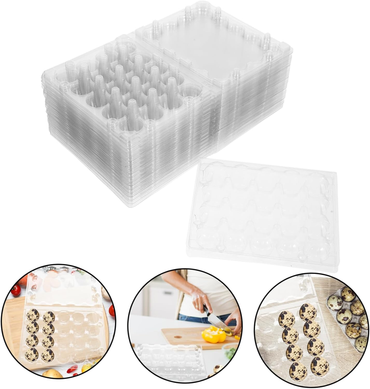 50pcs Quail Egg Packaging Box Egg Container Tight Lock for Camping and Picnic