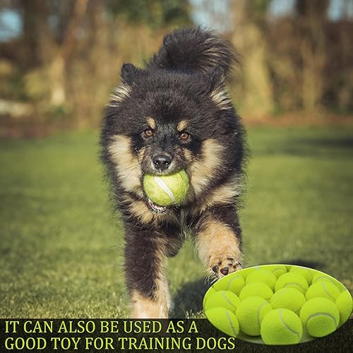 Miniatura 6 de Swingers Paquete de 20 Pelotas de Tenis, Pelotas de Ejercicio de Entrenamiento para Perros Mascotas, Pelotas de Tenis de Práctica de Alta